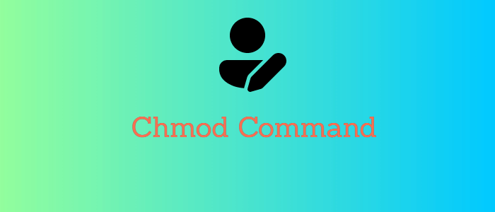 Erklæring Victor Jeg mistede min vej Chmod Command in Linux [With Examples]