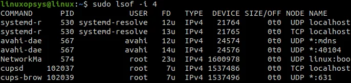 list open file by IPV4