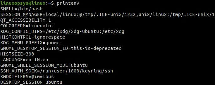 and Set Environment Variables in Linux
