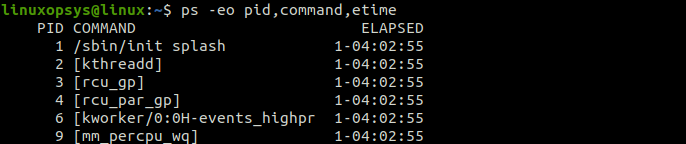 showing etime that displays elapsed time since the process was started