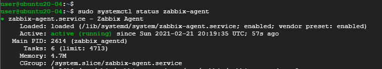 check status of zabbix-agent
