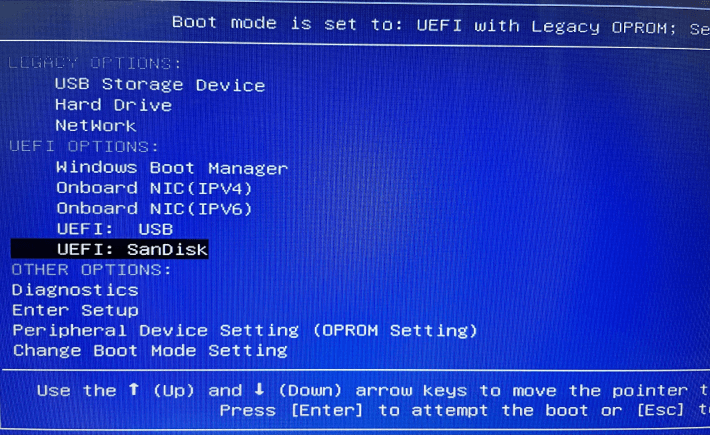 Choose Live USB to boot from BIOS