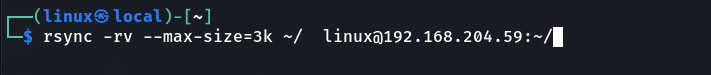 rsync limit file size