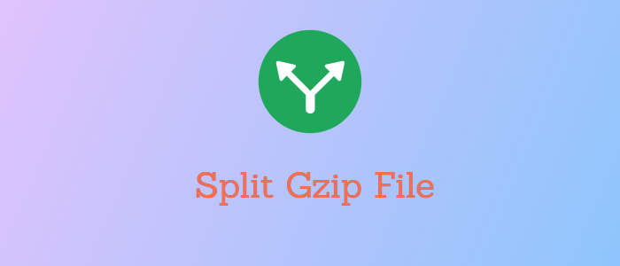 split gzip file