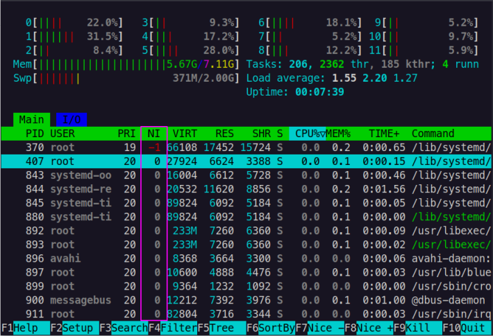 view nice value using htop command