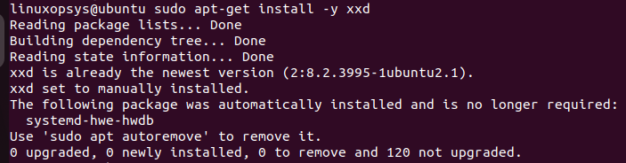 install xxd on Ubuntu