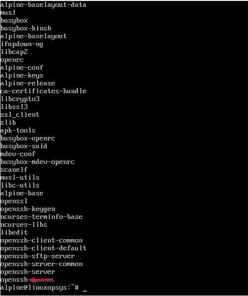using apk list installed packages