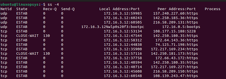 list IPv4 socket