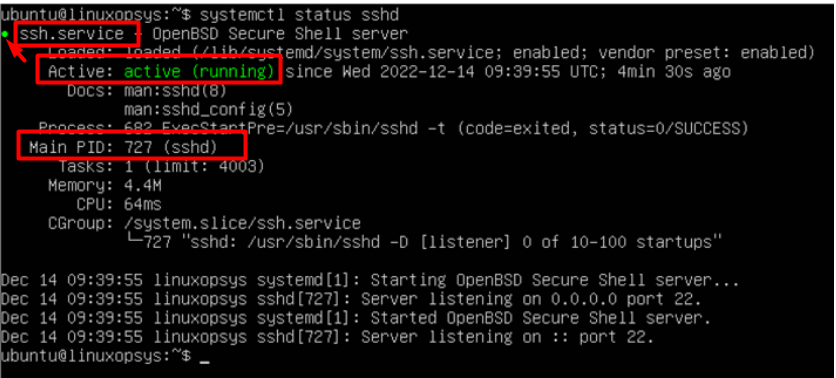 explain output of systemctl status command