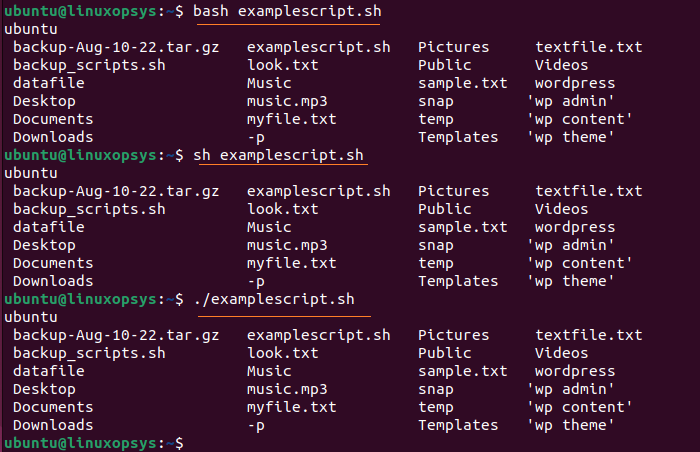 running a bash shell script