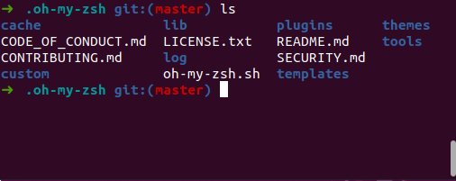 oh-my-zsh prompt