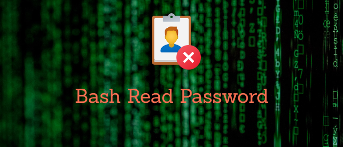 bash read password