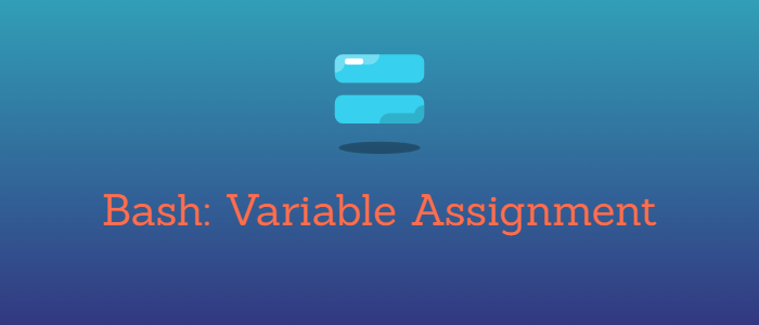 bash variable-assignment