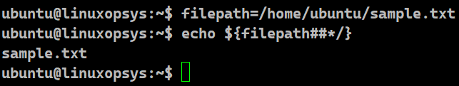 using parameter expansion to extract filename from path