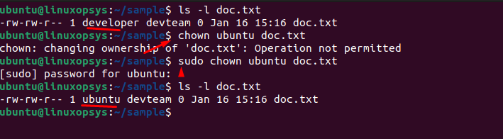 change owner to "ubuntu" for file doc.txt
