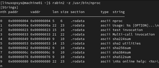 using rabin2 command for binary file search