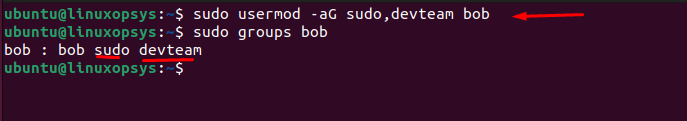 add user account bob to sudo and devteam group